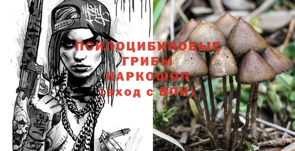 крисы Алзамай