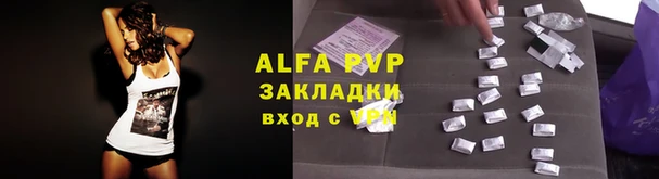 крисы Алзамай