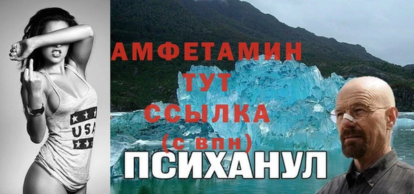 крисы Алзамай