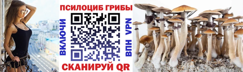 Галлюциногенные грибы ЛСД  как найти закладки  Боготол 